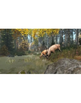 DayZ Cool Edition АВТОДОСТАВКА STEAM РОССИЯ DayZ Cool Edition АВТОДОСТАВКА STEAM РОССИЯ