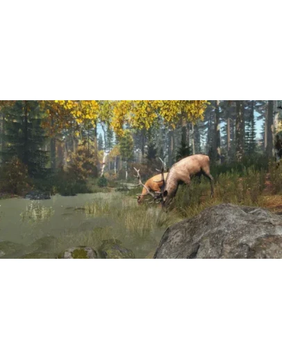 DayZ Cool Edition АВТОДОСТАВКА STEAM РОССИЯ