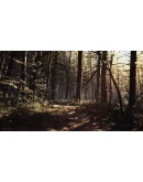 Blair Witch XBOX ONE SERIES XS PC Ключ