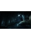 Blair Witch XBOX ONE SERIES XS PC Ключ