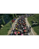 Pro Cycling Manager 25 (Steam Gift Россия)