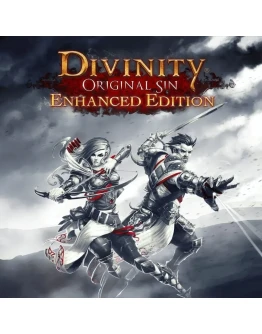 Divinity: Original Sin Enhanced Edition Steam Без Guard