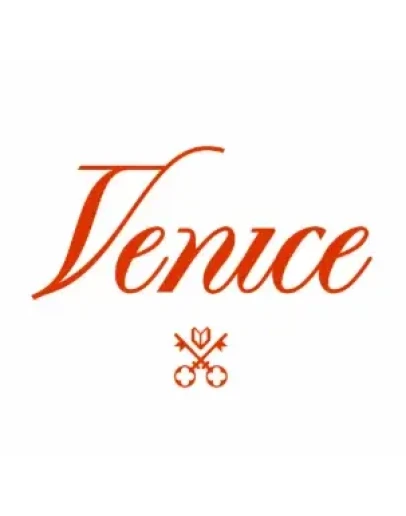 VENICE AI ПОДПИСКА - 1 МЕСЯЦ
