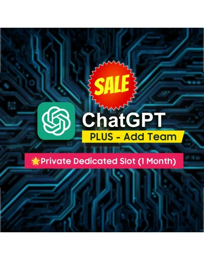 ChatGPT Team Plus выделенный частный слот (1 месяц