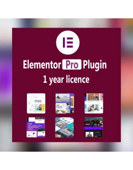 Плагин Elementor Pro (оригинальная лицензия) 1-годовой