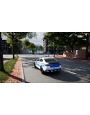 POLICE SIMULATOR: PATROL OFFICERS: SURVEILLANCE POLICE