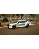 POLICE SIMULATOR: PATROL OFFICERS: SURVEILLANCE POLICE