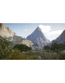 CALL OF THE WILD: THE ANGLER - SPAIN RESERVE XBOX + PC