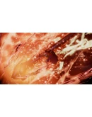 ONE PIECE: PIRATE WARRIORS 4 CHARACTER PASS 2 XBOX КЛЮЧ