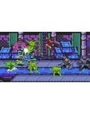 TEENAGE MUTANT NINJA TURTLES: SHREDDER'S REVENGE - DIME TEENAGE MUTANT NINJA TURTLES: SHREDDER'S REVENGE - DIME