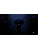 Akuatica: Turtle Racing Xbox OneXS активация