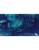 Aliens vs Predator Xbox OneXS активация