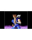 ACA NEOGEO WORLD HEROES PERFECT Xbox активация