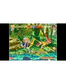 ACA NEOGEO WORLD HEROES PERFECT Xbox активация