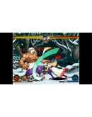ACA NEOGEO THE LAST BLADE Xbox OneXS активация ACA NEOGEO THE LAST BLADE Xbox OneXS активация