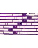 Spectrum Xbox One &amp Xbox Series XS активация