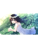 Sickly Days and Summer Traces АВТОДОСТАВКА STEAM РОССИЯ