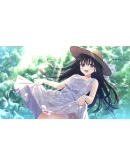 Sickly Days and Summer Traces АВТОДОСТАВКА STEAM РОССИЯ