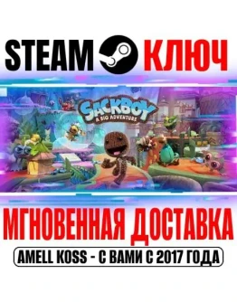 Sackboy: A Big Adventure (Сэкбой: Большое приключение)