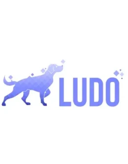 ludo.ai Indie/Pro Подписка на 1 месяц для вашего аккаун