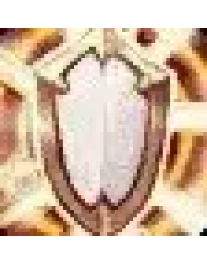 Послушание Прист ПИРАТКА