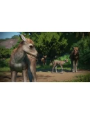 Planet Zoo: Asia Animal PackSTEAM GIFT AUTORU+МИР