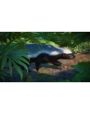 Planet Zoo: Asia Animal PackSTEAM GIFT AUTORU+МИР