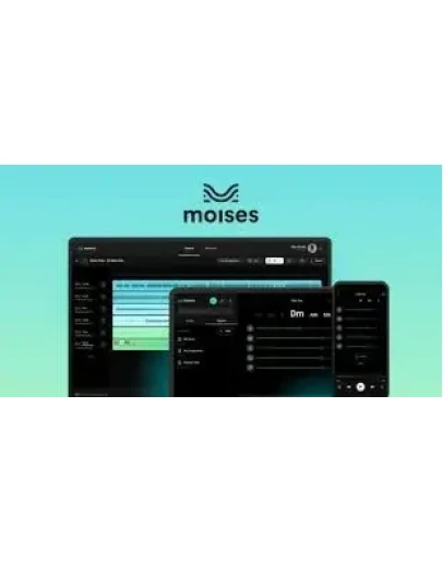 MOISES PREMIUM НА 1 МЕСЯЦ ПОДПИСКИ