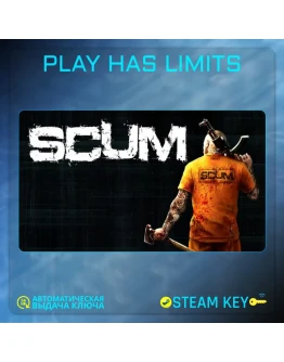SCUM КЛЮЧ STEAM Global + РФ
