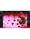 GLEYLANCER AND GYNOUG: CLASSIC SHMUPS PACK XBOX КЛЮЧ/КО