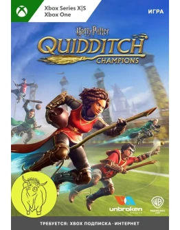 Harry Potter: Quidditch Champions XBOX ONE, XS Ключ