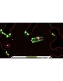 Primordialis АВТОДОСТАВКА STEAM РОССИЯ