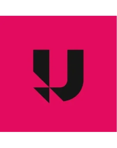 UDIOAI STANDART PRO ЛИЧНЫЙ КАБИНЕТ +FAST