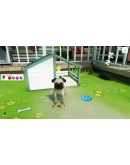 Cute Puppy Academy Xbox OneXS активация