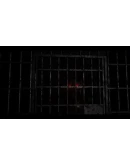 CASE: Animatronics Xbox OneXS активация