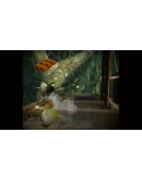 Conker: Live and Reloaded Xbox OneXS активация