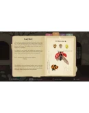 CLeM Xbox One &amp Xbox Series XS активация