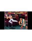 ACA NEOGEO ART OF FIGHTING PC (WIN) КЛЮЧ/КОД ACA NEOGEO ART OF FIGHTING PC (WIN) КЛЮЧ/КОД