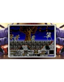 RISKY WOODS (QUBYTE CLASSICS) XBOX КЛЮЧ/КОД