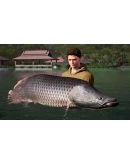 FISHING SIM WORLD: PRO TOUR - COLLECTOR'S EDITION XBOX