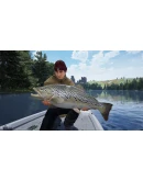 THE CATCH: CARP &amp COARSE - COLLECTOR'S EDITION XBOX КЛЮ