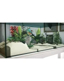 Aquarium Designer (Steam key / РФ+Весь Мир)