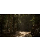 THE WIRED NARRATIVE BUNDLE XBOX КЛЮЧ/КОД