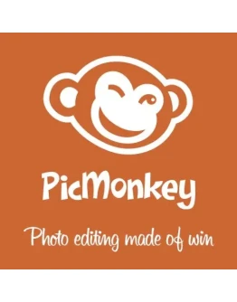 PicMonkey Подписка Basic на 60 дней