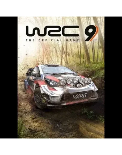 WRC 9: FIA World Rally Championship Steam Key GLOBAL