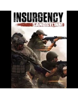 InsurgencySandstormКлючSteamАвтовыдача