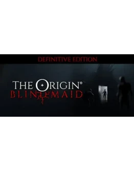 THE ORIGIN: Blind Maid (Steam Gift Россия)