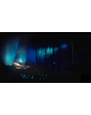 Debris: Xbox One Edition активация