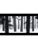 The Mooseman Xbox One & Xbox Series XS активация The Mooseman Xbox One & Xbox Series XS активация