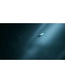 The Mosaic Xbox One &amp Xbox Series XS активация